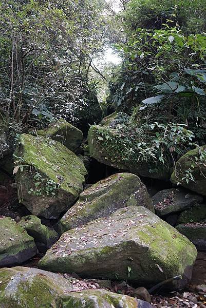 DSC01101