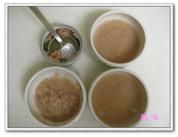 王樣本鮪罐-原味-5.jpg