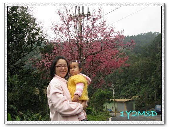 1Y2M03D東北角-23.jpg