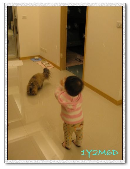1Y2M06D-03.jpg