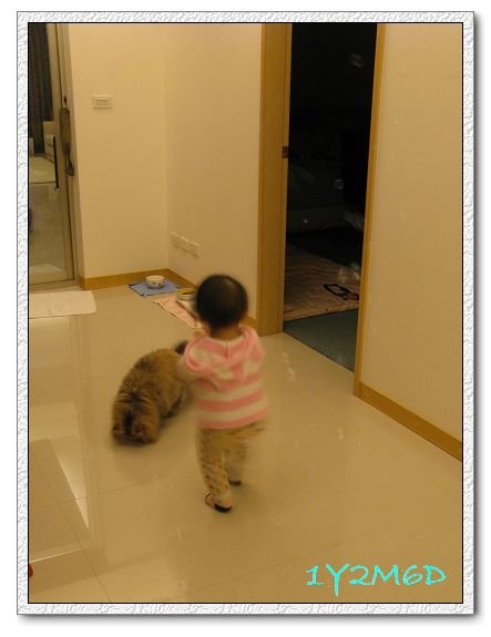 1Y2M06D-04.jpg