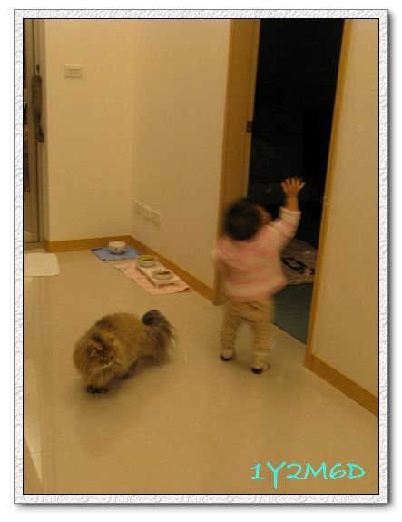 1Y2M06D-05.jpg