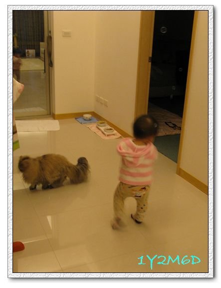 1Y2M06D-06.jpg