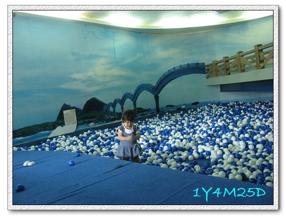 1Y4M25D-25球池.jpg