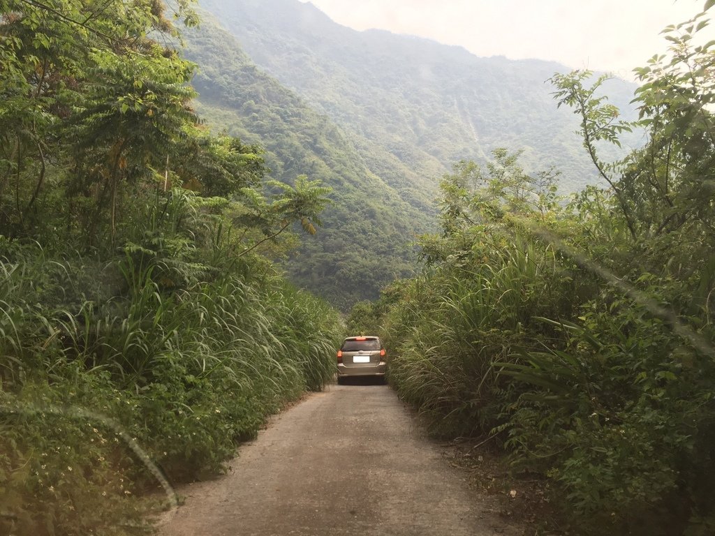 山地門龍豪咖啡露營區_1791