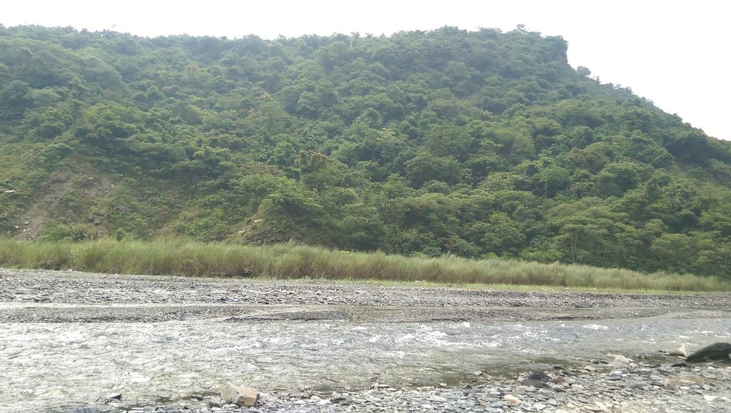 山地門龍豪咖啡露營區_2131_0