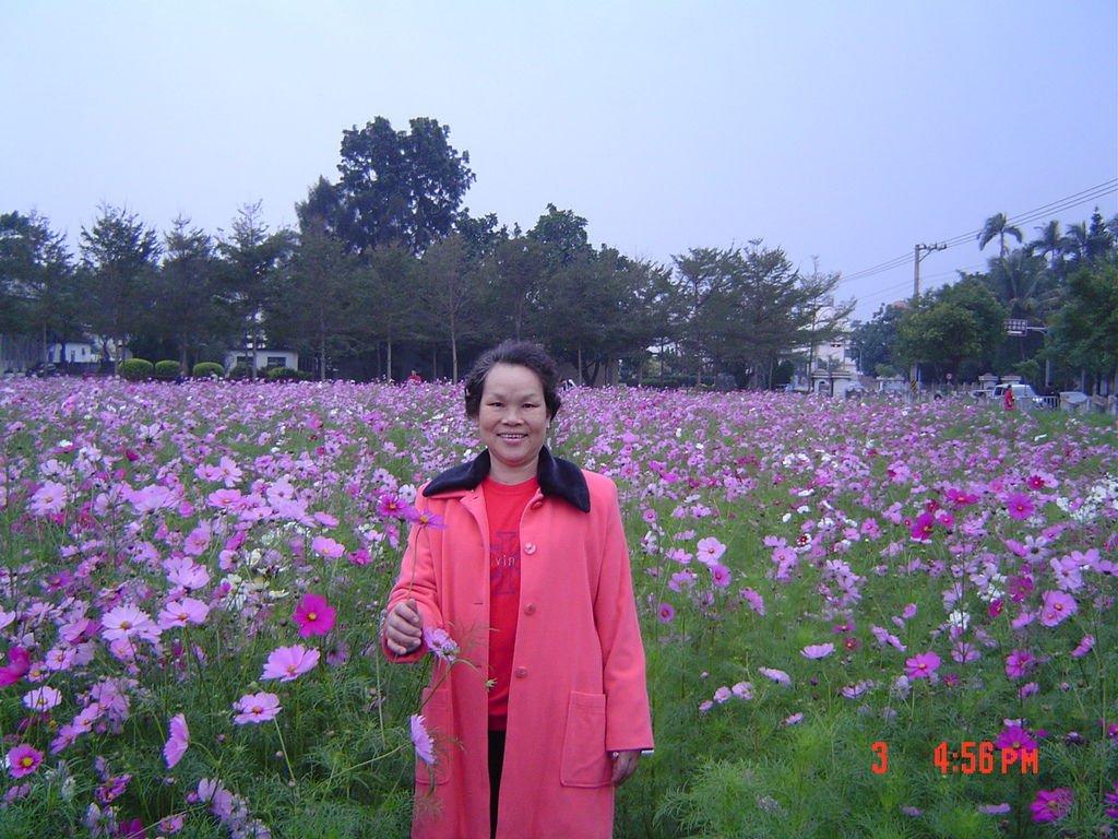DSC01680.JPG