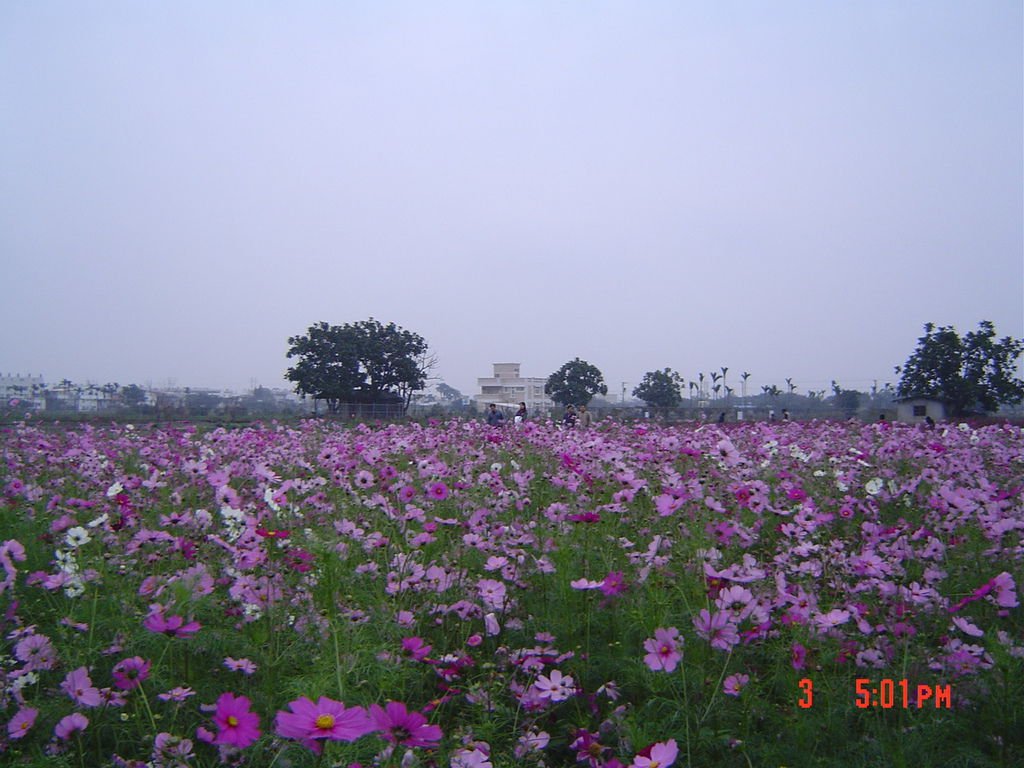 DSC01701.JPG