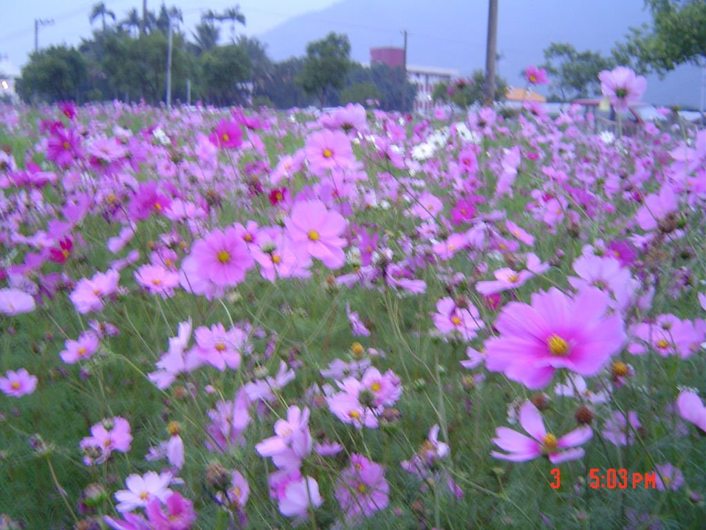 DSC01705.JPG