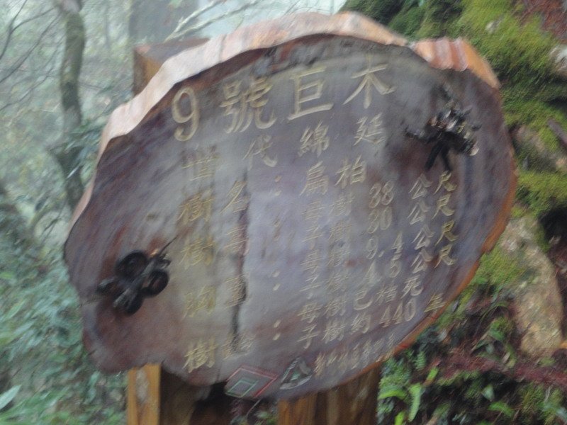 DSC08331_大小 .JPG