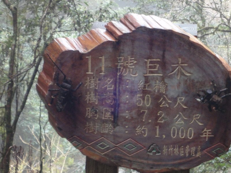 DSC08366_大小 .JPG