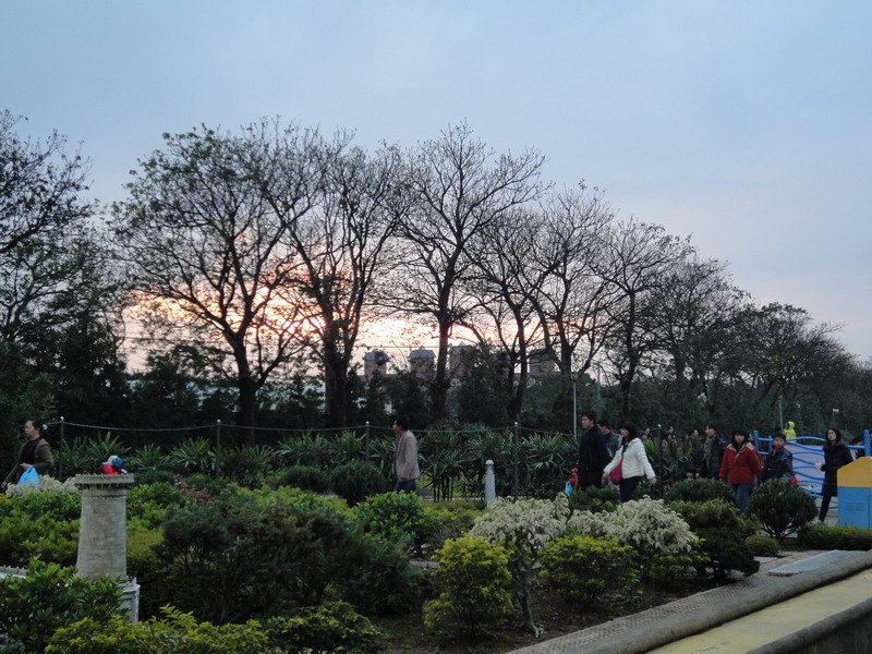 DSC08743_大小 .JPG