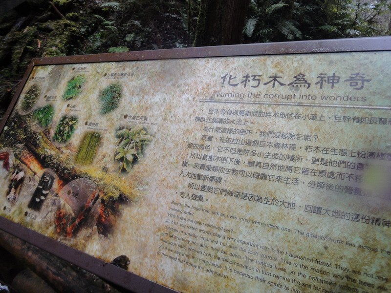 DSC08400_大小 .JPG