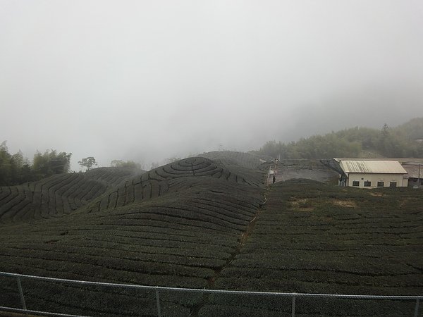 DSC00439.JPG