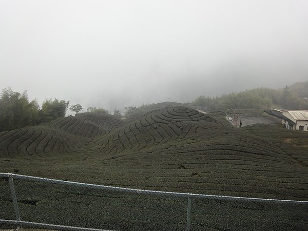 DSC00437.JPG
