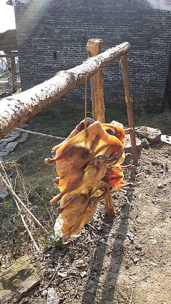 20141221_095946.jpg