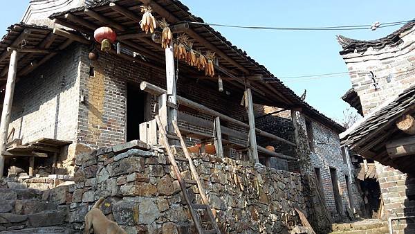 20141221_100519.jpg