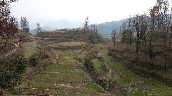 20141221_121407.jpg