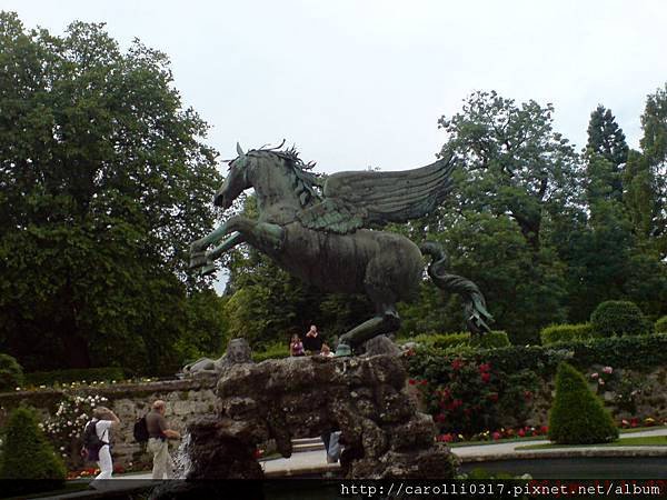 DSC08074.JPG