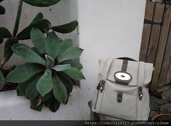 Bag＆ Plant.jpg