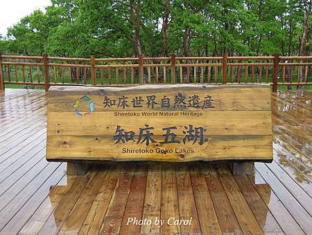 DSCN2702