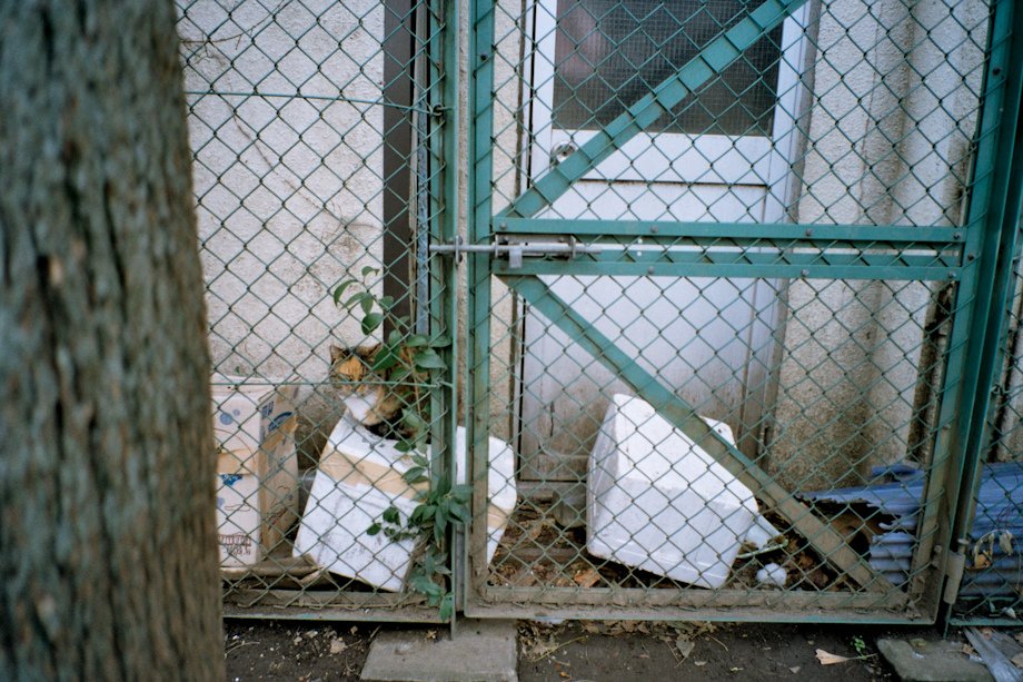 jp_d5N_013.jpg