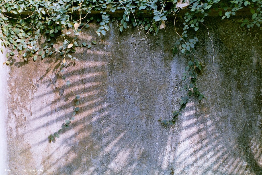 feos50331_03.jpg