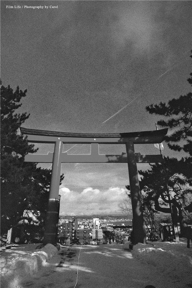 hokkaidon_5_1_03.jpg