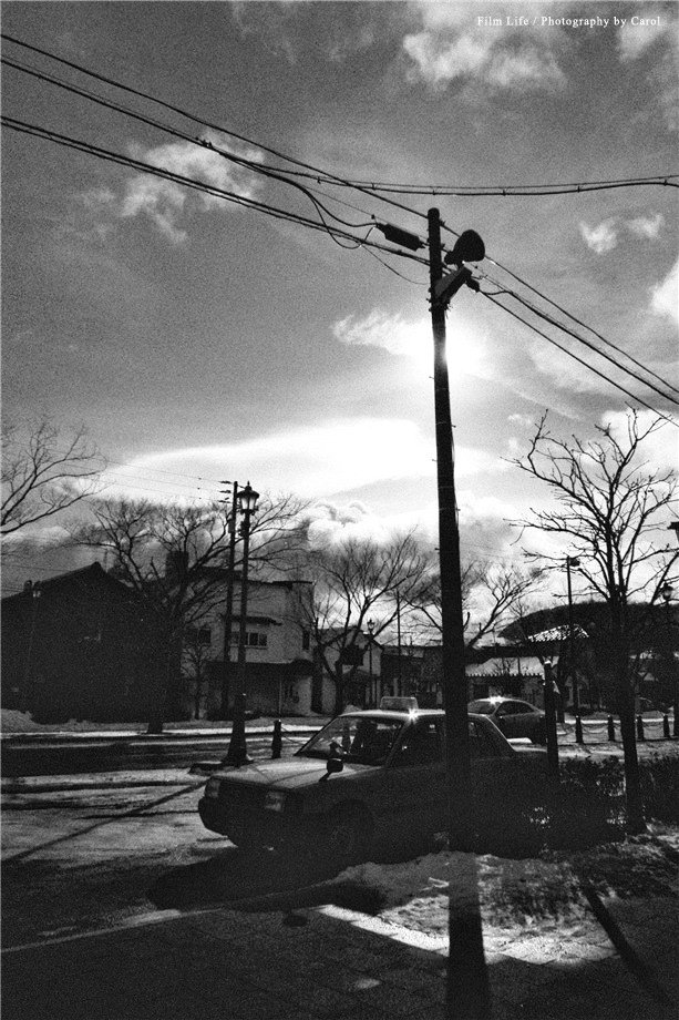 hokkaidon_5_1_08.jpg