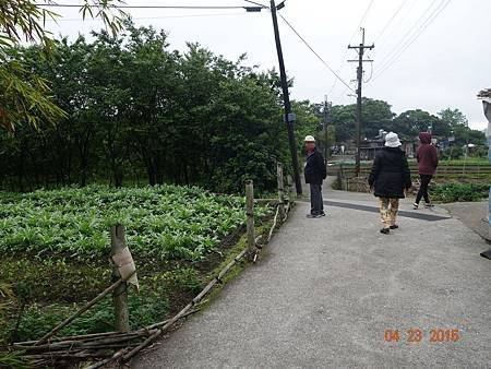 DSC04299