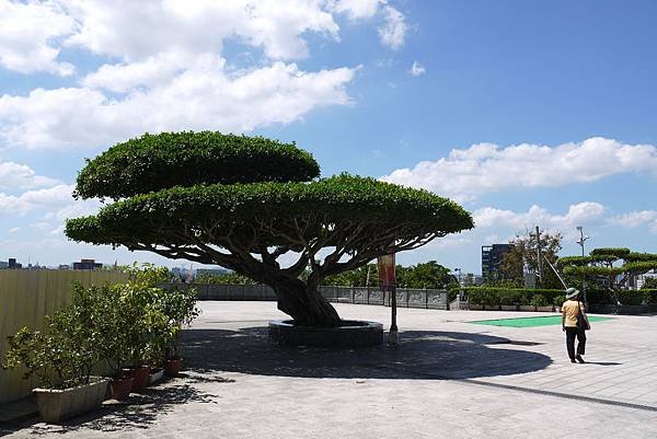 P1100285