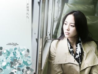 不能飛的鳥.jpg