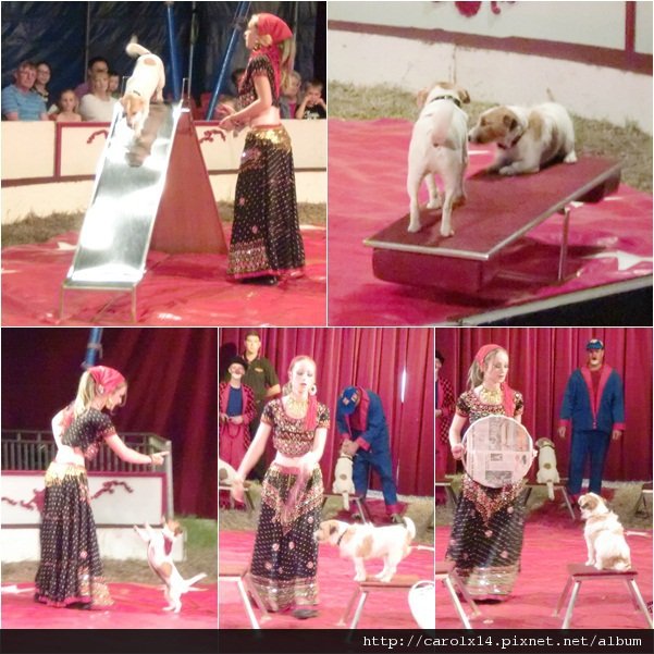 2012_04 Circus 馬戲團