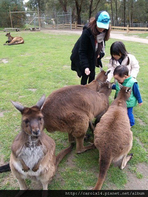 2012_10 Ballarat Wildlife Park