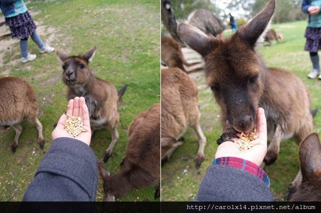 2012_10 Ballarat Wildlife Park