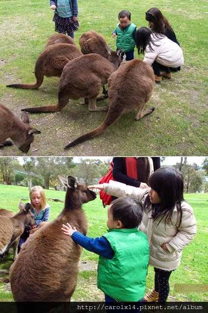 2012_10 Ballarat Wildlife Park