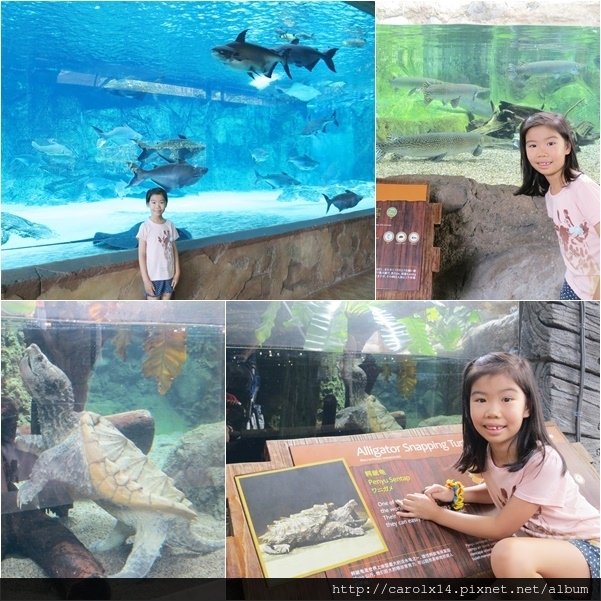 2016_01 Singapore River Safari