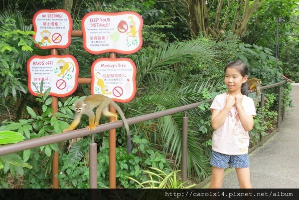 2016_01 Singapore River Safari