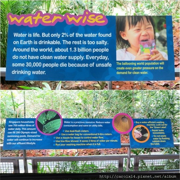 2016_01 Singapore River Safari