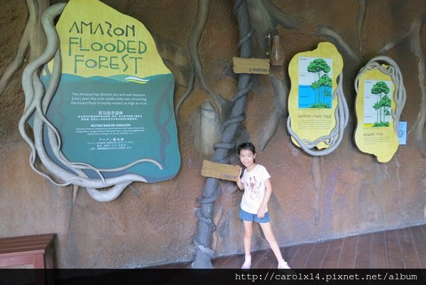 2016_01 Singapore River Safari