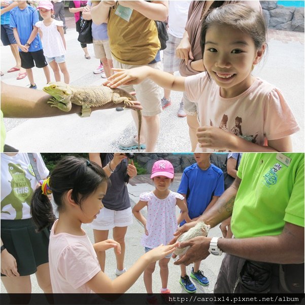 2016_01 Singapore River Safari