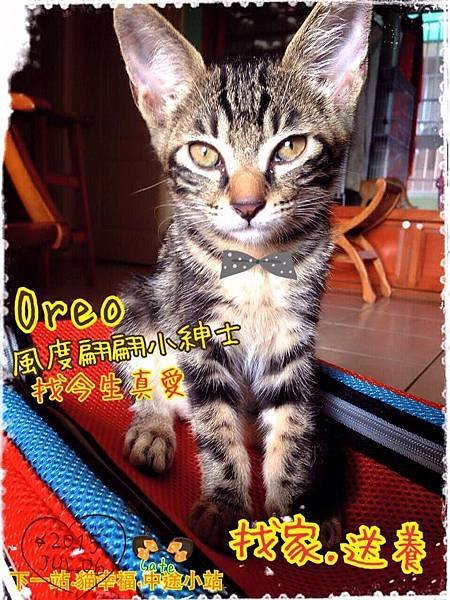 oreo201507_n