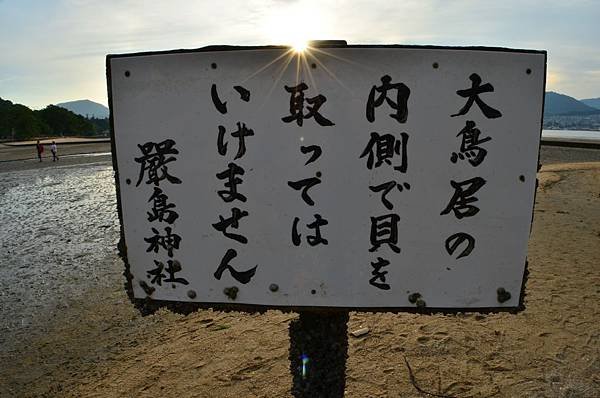 DSC_0940.JPG