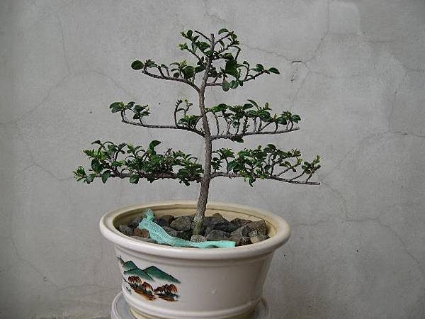20140526