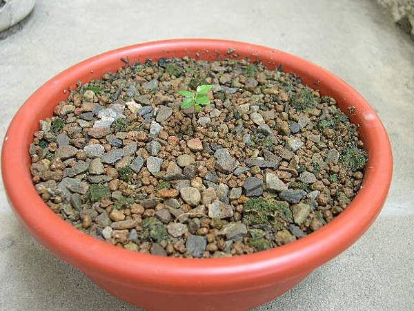 20130709