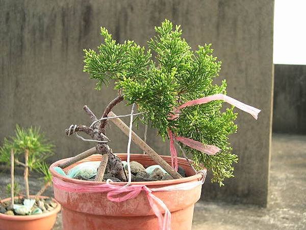 20140704__1