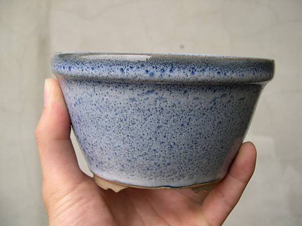 DSCN4192.JPG