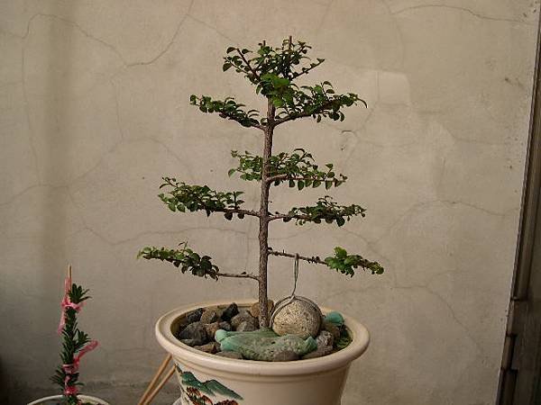 20140124.JPG