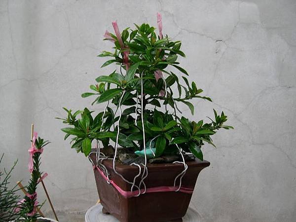 20131213.JPG