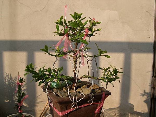 20140128.JPG